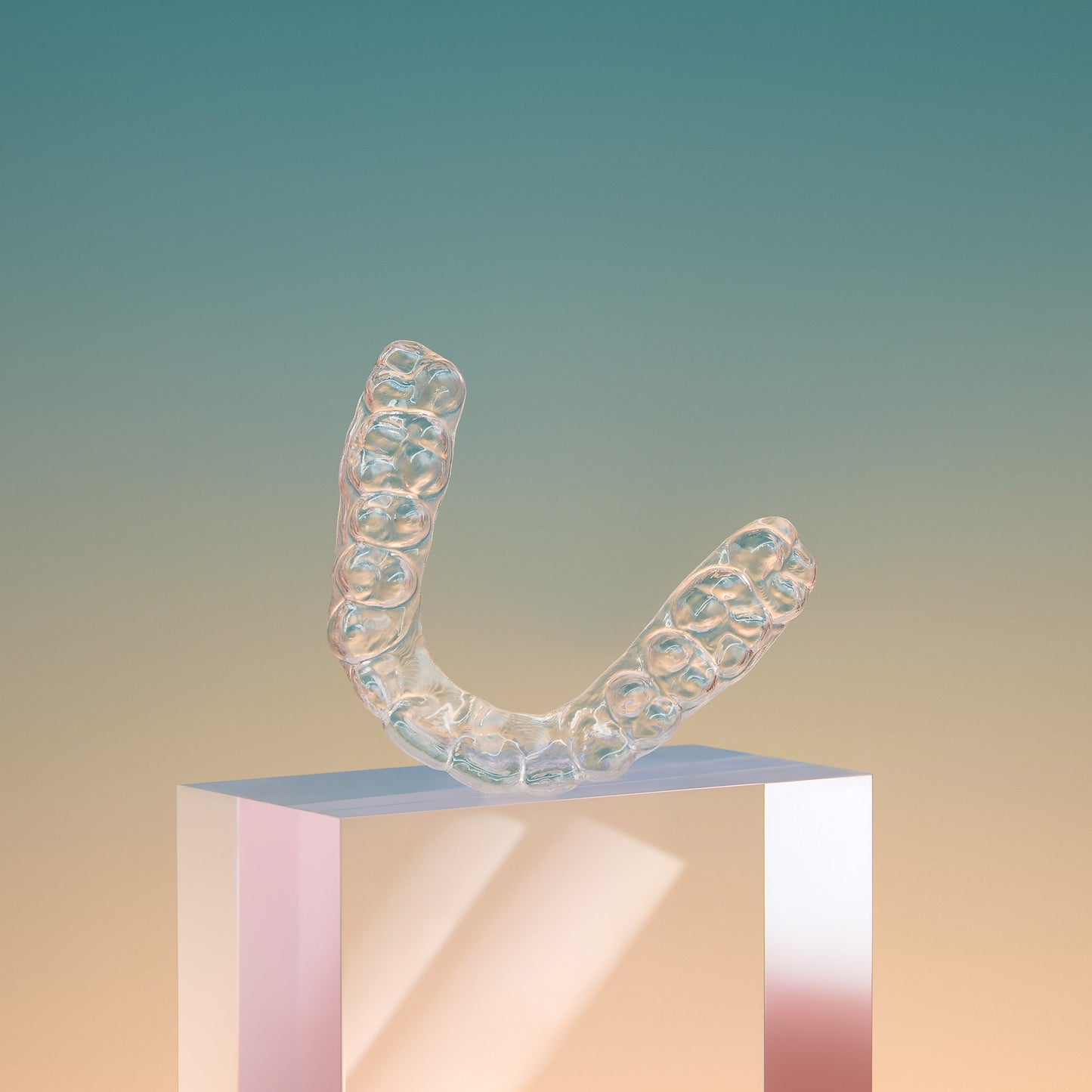 Retainer-Schiene